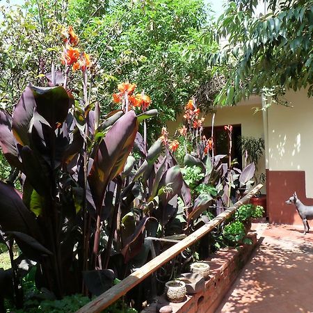 Kukuli Lodge B&B Cuzco Buitenkant foto