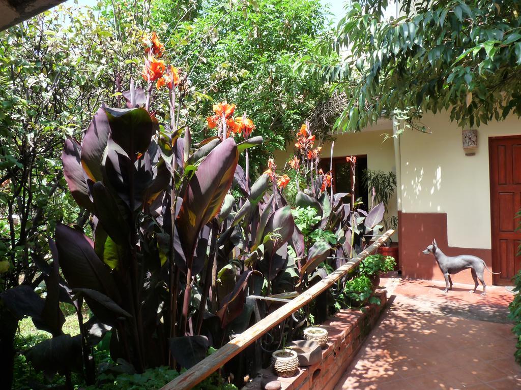Kukuli Lodge B&B Cuzco Buitenkant foto