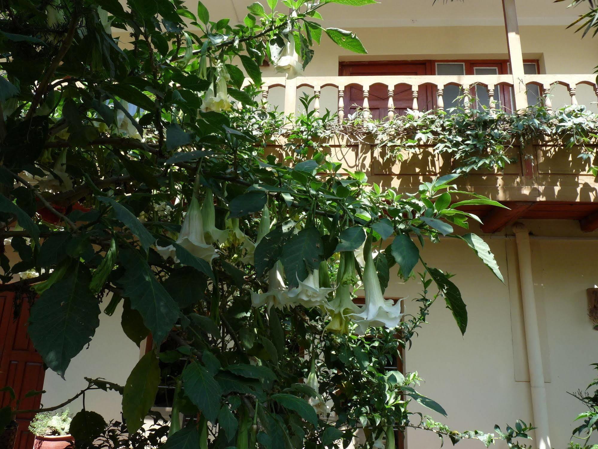 Kukuli Lodge B&B Cuzco Buitenkant foto